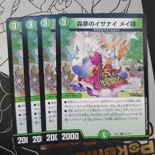 Izanai of Forest Dreams Dear Rosa