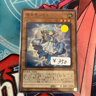 The Weather Painter Snow Super Rare 1 copy Special Price