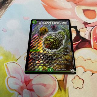 Life Life, Earth and Roaring Decision SR S12/S12