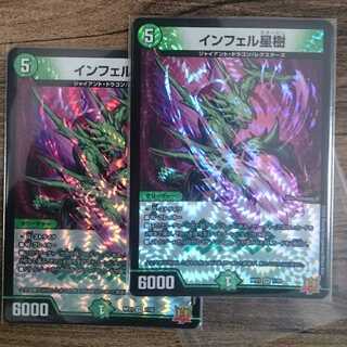 Infelix star tree (species of sedge, Infelix infelix)