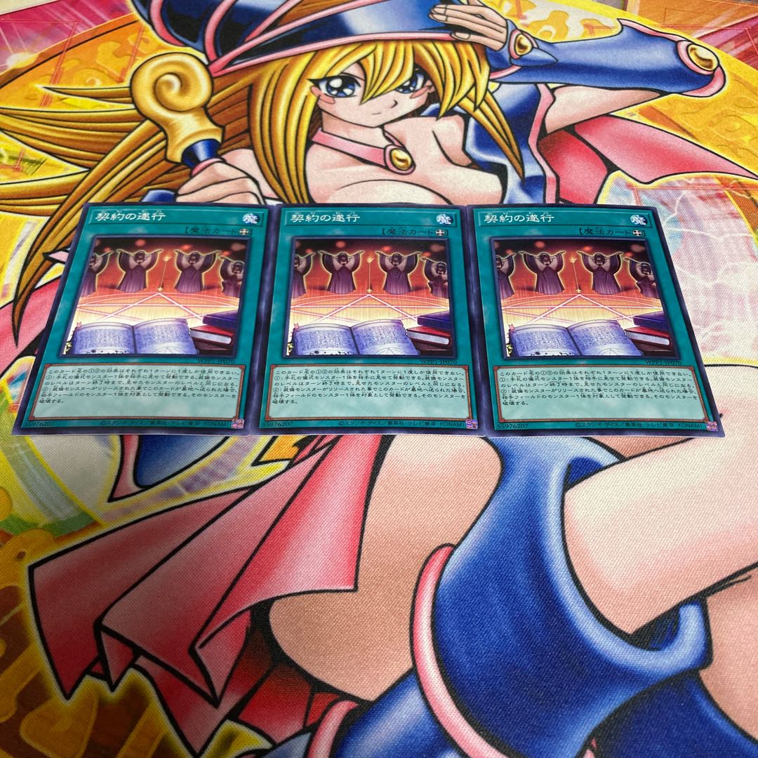 Execution of the Contract Normal JP070