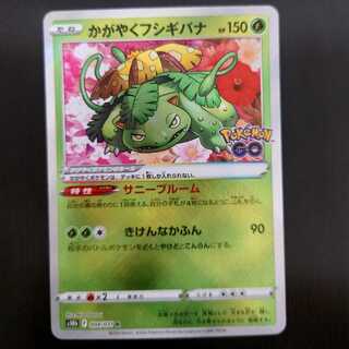Glittering Venusaur