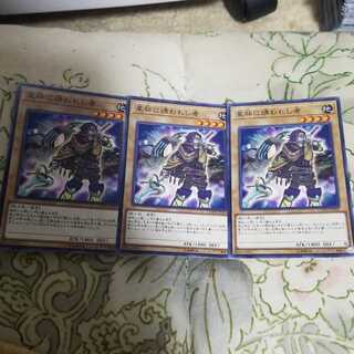 星杯に誘われし者