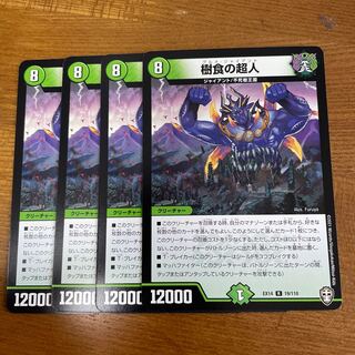 Psychic person of arboreal food R 19/110