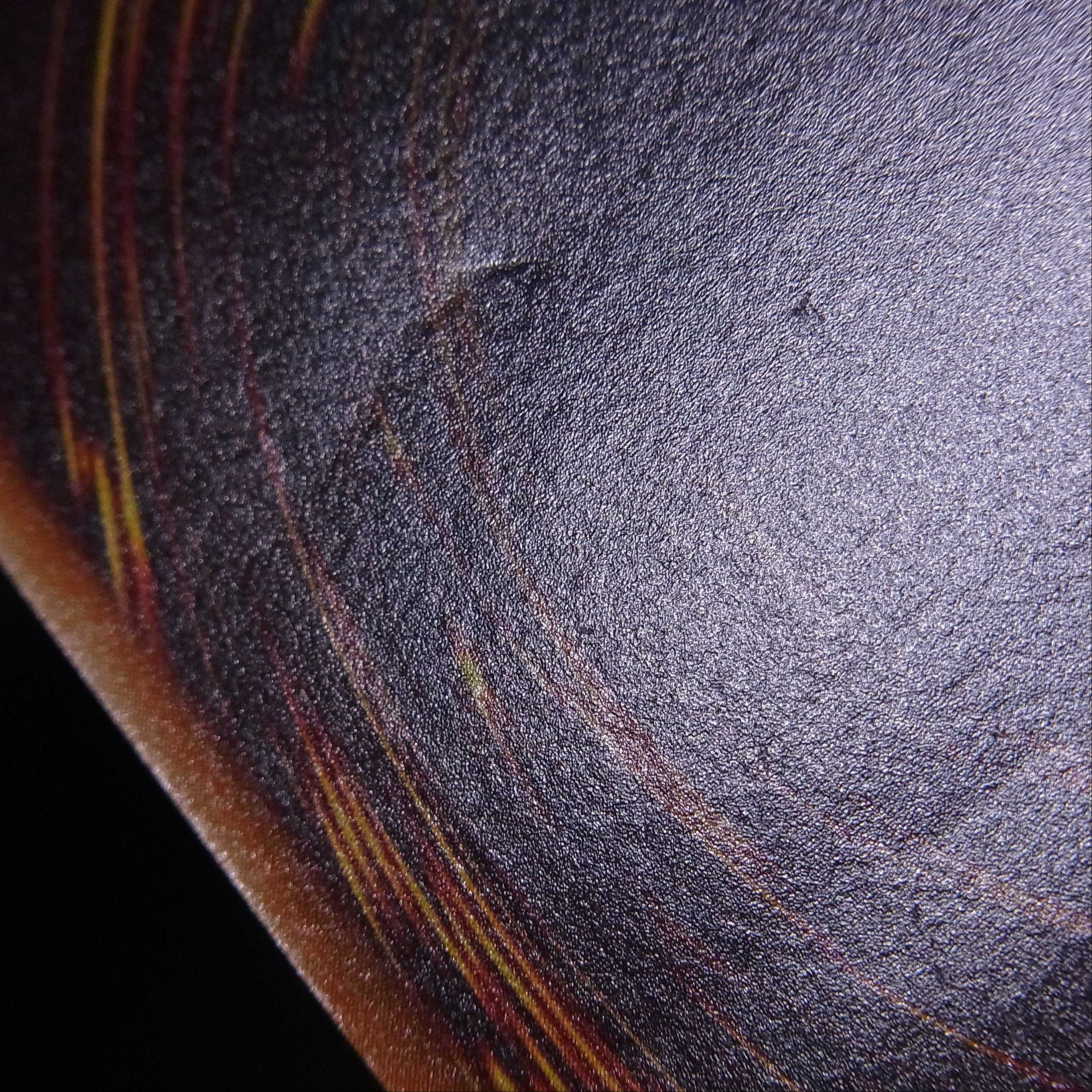 Skyscraper - Skyscraper - [Plaid] Relief / Management: MY0268