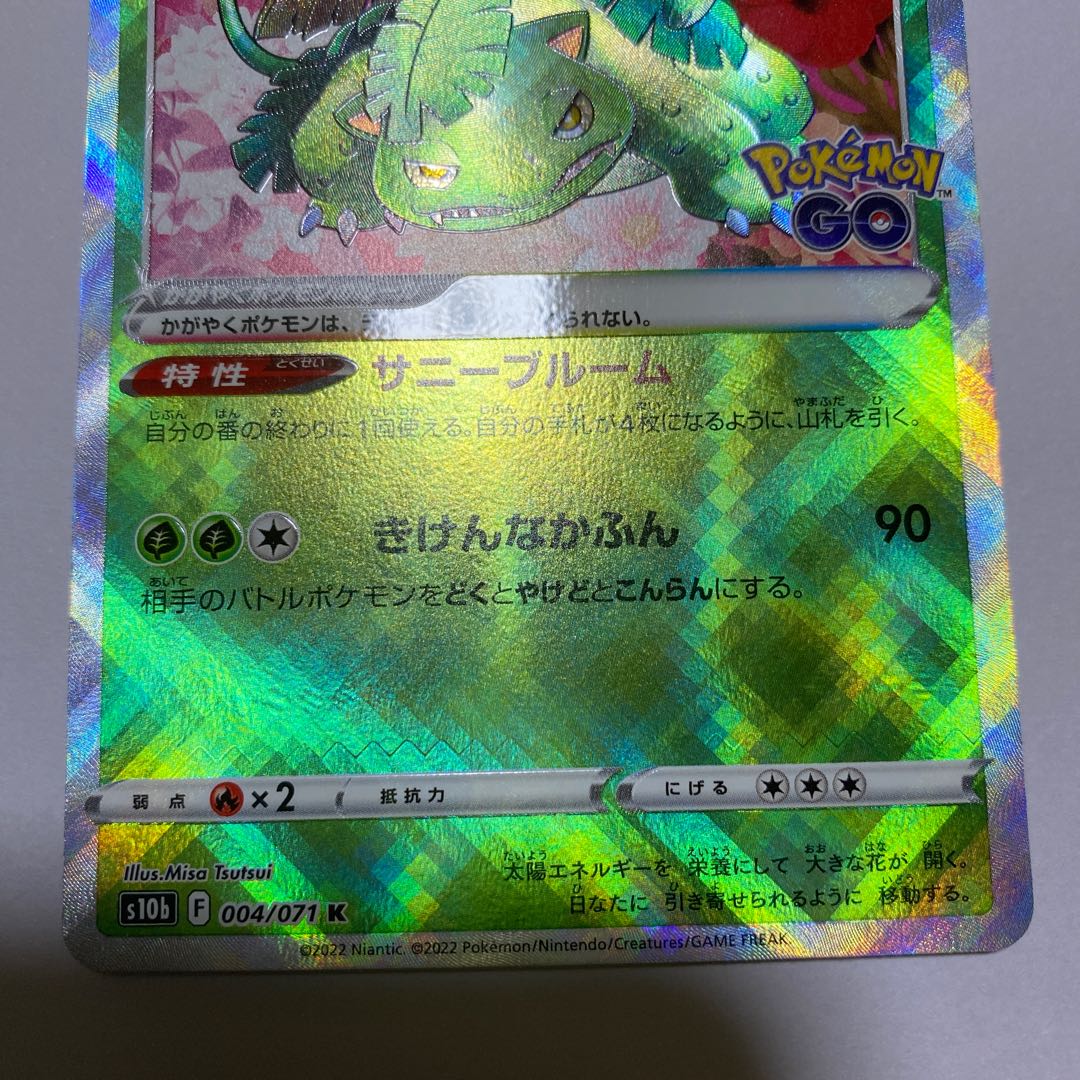 Pokémon Card Ducking Venusaur