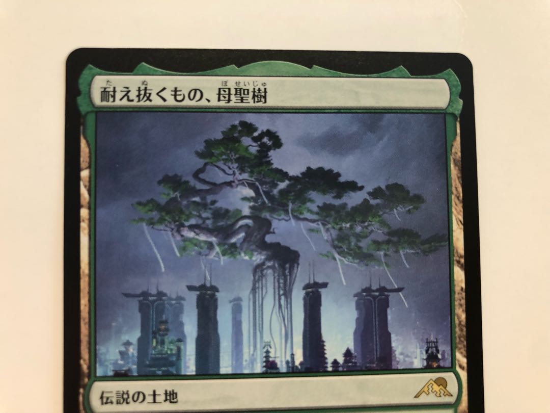 What endures, Mother Sacred Tree