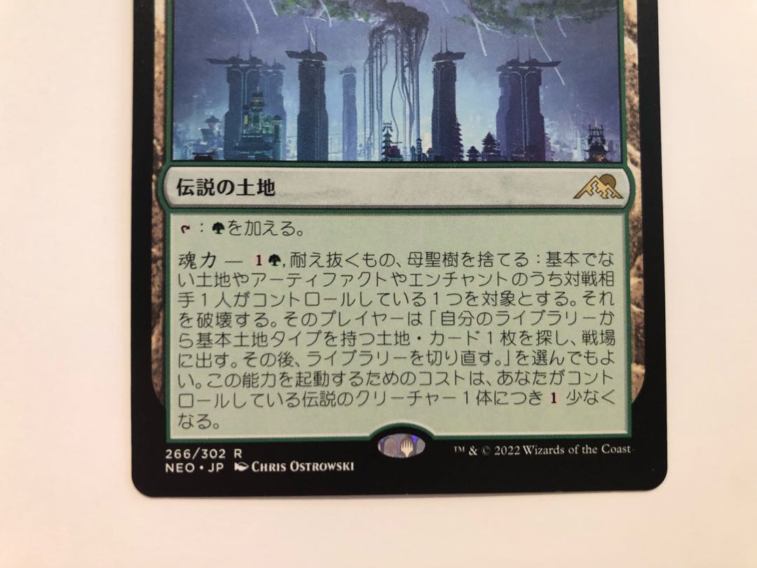 What endures, Mother Sacred Tree