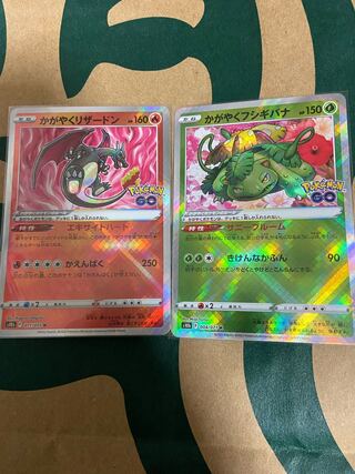 Kagayaku Charizard & Kagayaku Venusaur