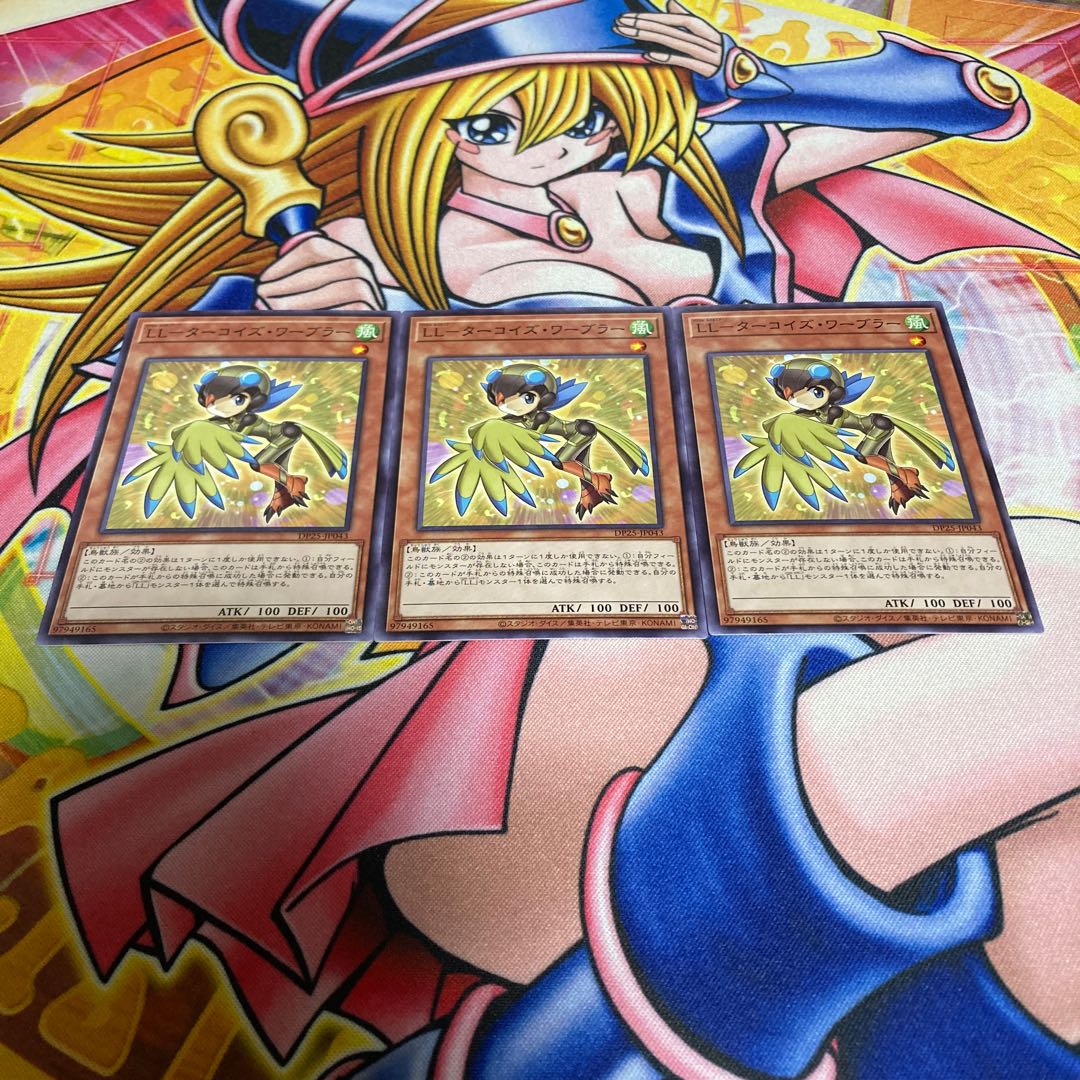 LL-Turquoise Warbler Normal JP043