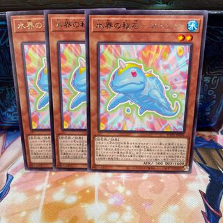 No.104 P shop Secret stone of Water world - Catlin [Rare