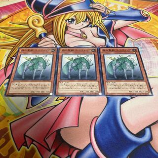 Uniflora, Mystical Beast of the Forest Normal JP031