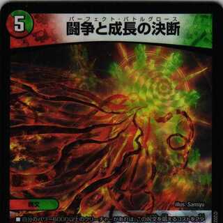 RP22 8/76 Fighting Conflict and Growth Decision 4 cards