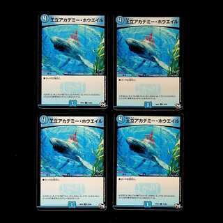 DM Royal Academy Whale Common, set of 4 (4)