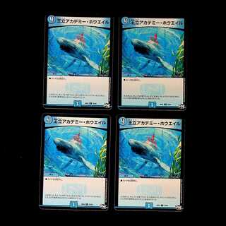 DM Royal Academy Whale Common, set of 4 (5)