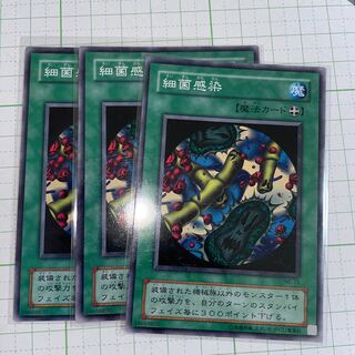 細菌感染　ノーマル　3枚