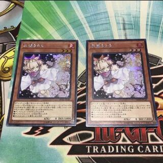 灰流うらら シークレット ２枚