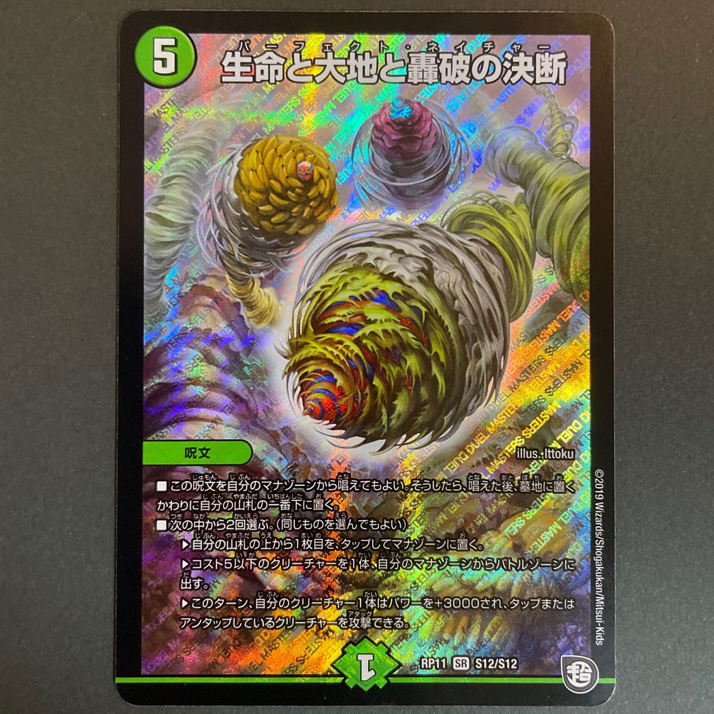 Life Life, Earth and Roaring Decision SR S12/S12