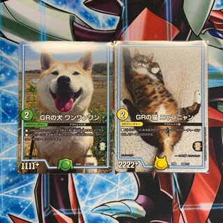 動物セット 1枚