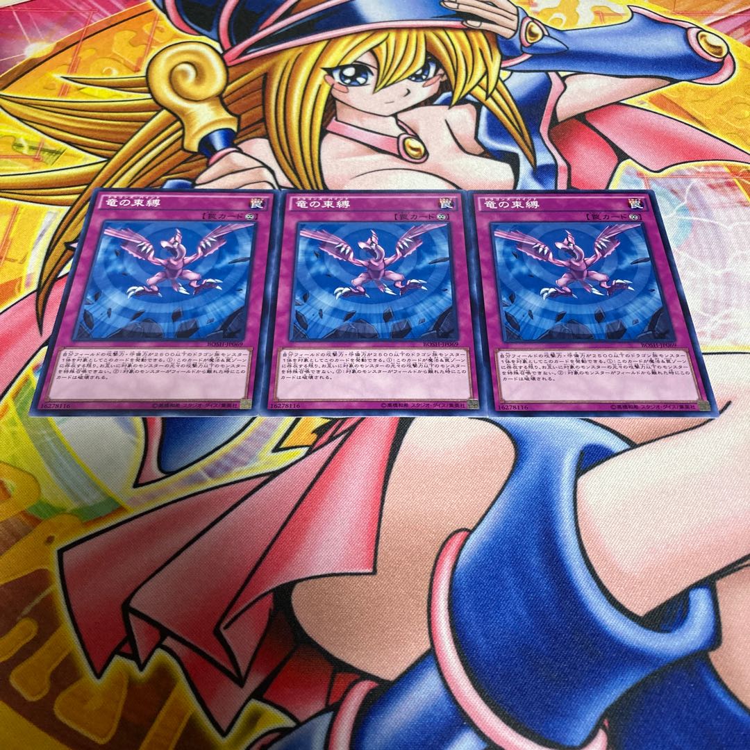 Dragon's Bind Normal JP069