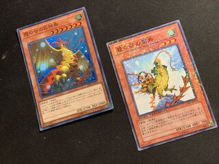 Mist Valley Apex Avian Lightning bird Super Rare Set