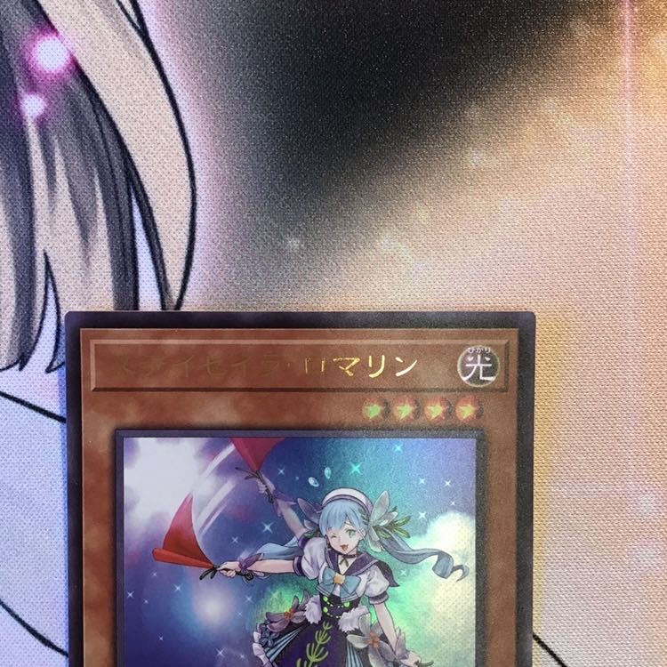 Staysailor Romarin Ultra Rare