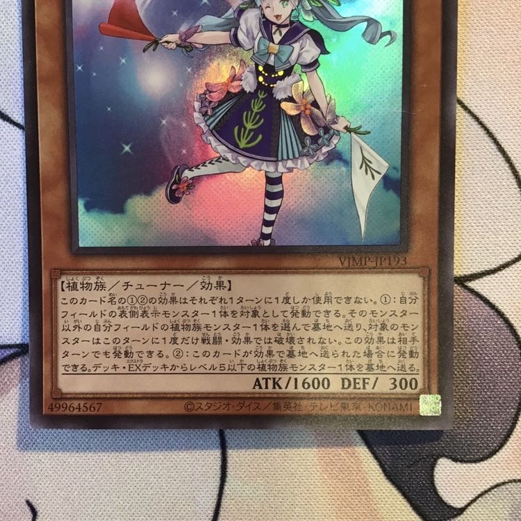 Staysailor Romarin Ultra Rare