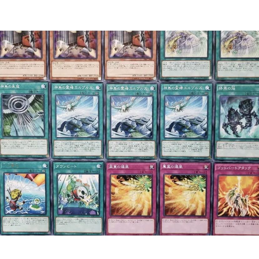 [Wight] NO.311 Yu-Gi-Oh Constructed Simurgh Deck!