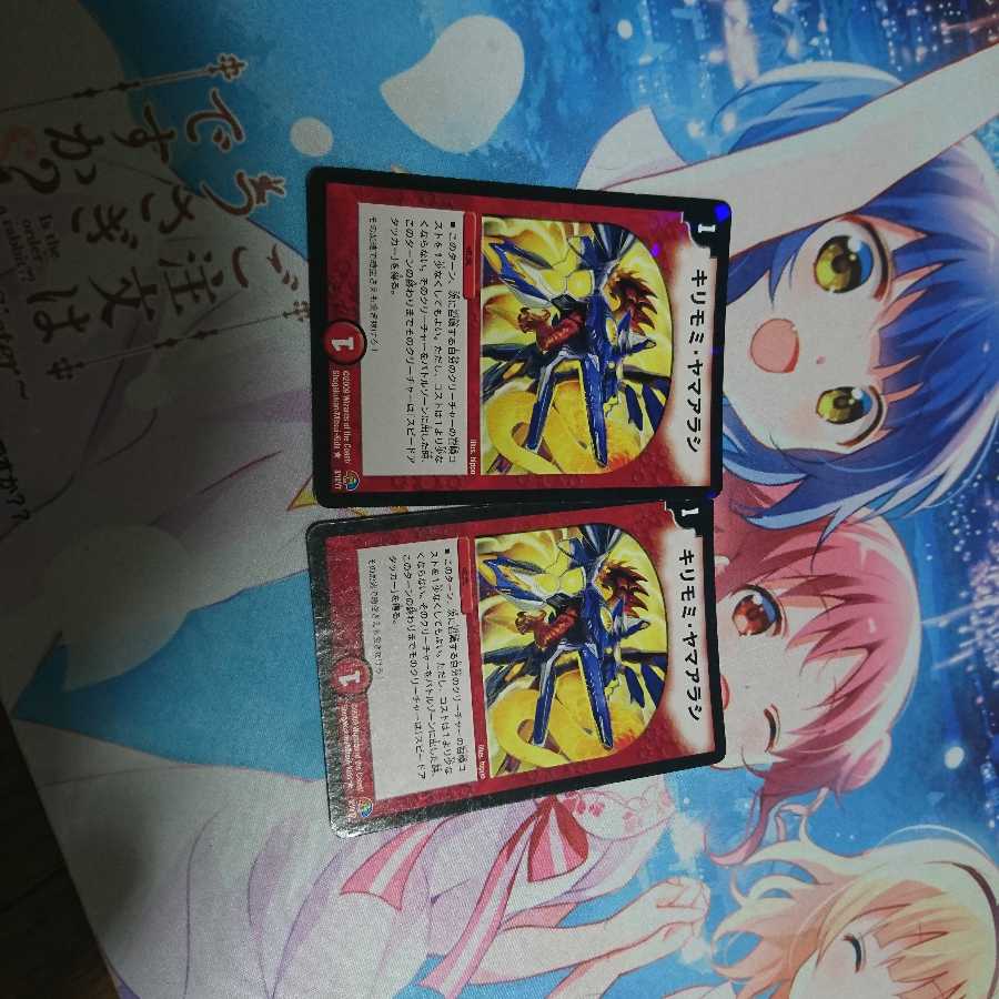 キリモミヤマアラシ