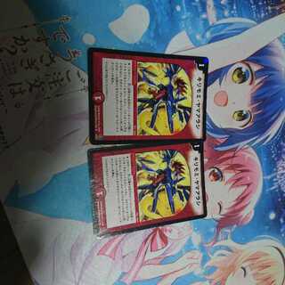 キリモミヤマアラシ