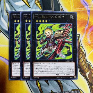 十二獣ワイルドボウ レア JP054