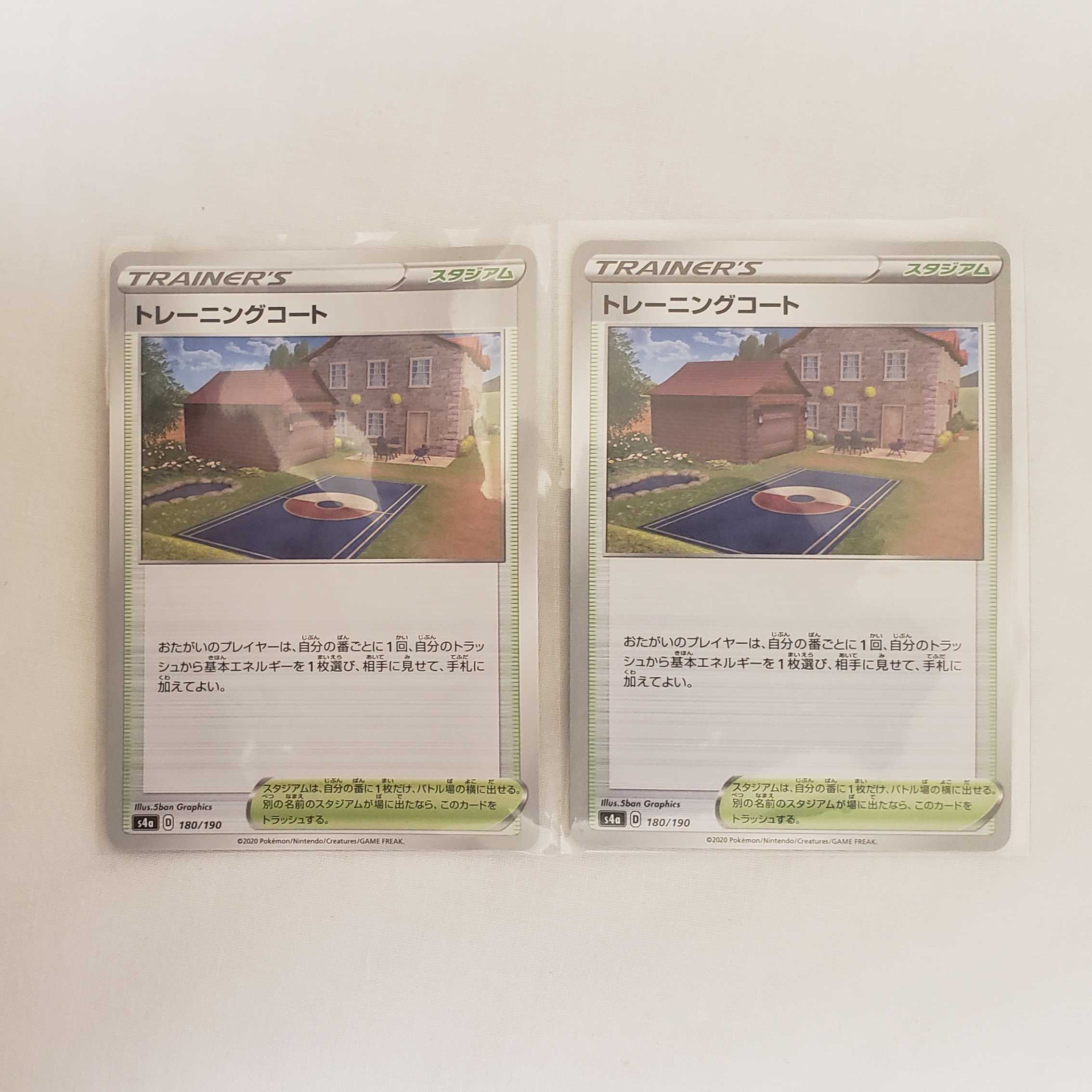 Set of 2 Training Court