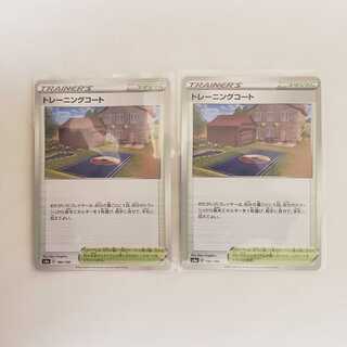 Set of 2 Training Court