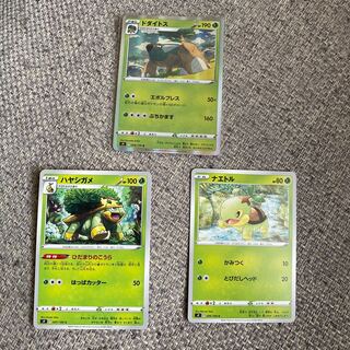 ドダイトス R 008/100、ハヤシガメ、ナエトル3枚セット