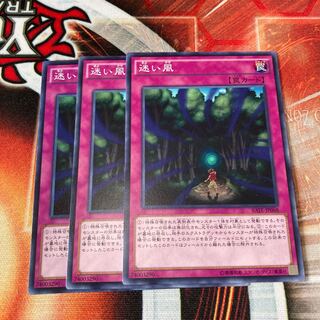 迷い風　ノーマル　3枚特価品