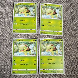 ナエトル C 006/1004枚セット