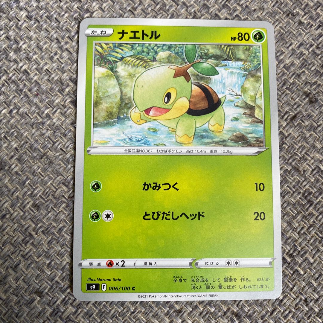Turtwig C 006/1004 sheet set