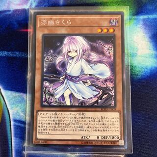 浮幽さくら　コレクターズレア