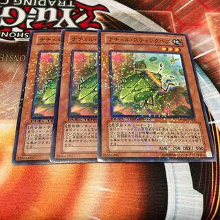 Naturia Stinkbug DT Normal 3pcs Special Price