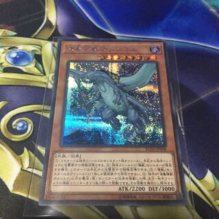 海亀壊獣ガメシエル　シークレット　＊２商品以上購入で割引あり＊