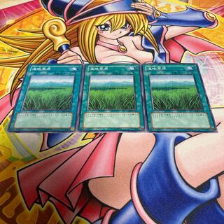 湿地草原 ノーマル JP054