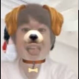 汚れあり特価品　飼い犬　 32cm