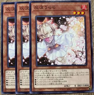 Ash Blossom & Joyous Spring 3 pieces