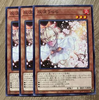 Ash Blossom & Joyous Spring 3 pieces