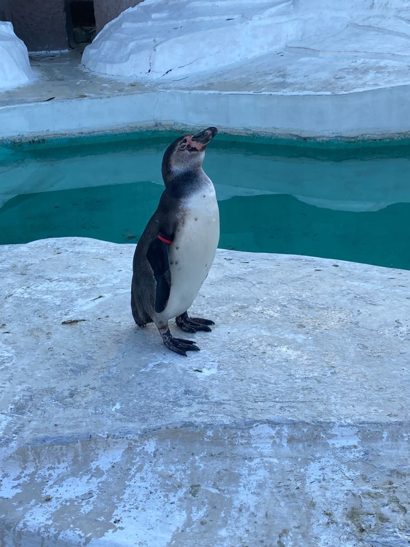 Dedicated to 1378784100