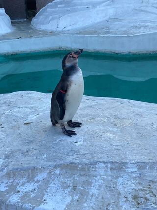 Dedicated to 1378784100