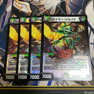 Reimer Druid VR 10/95