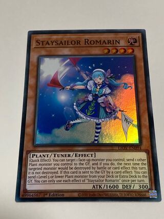 Staysailor Romarin English Edition EU Edition