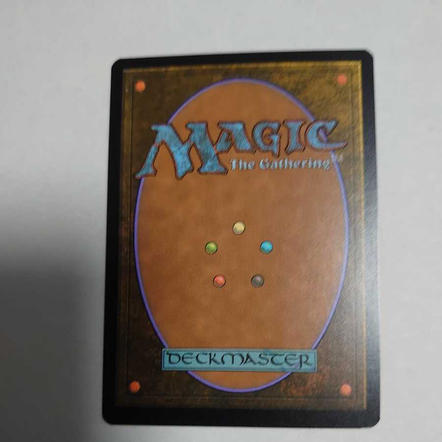 しょう様専用　テフェリーの防御　ボーダレスfoil