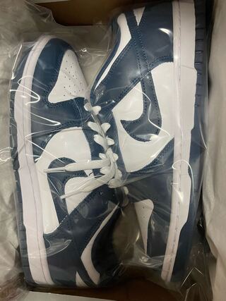 Nike Dunk Low Valerian Blue 26.5cm